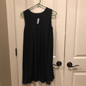 The Limited Shift Dress